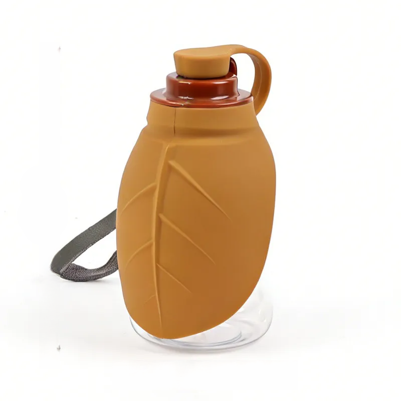 Portable pet water bottle