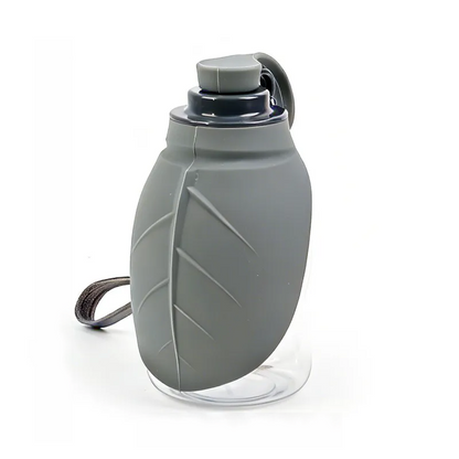 Portable pet water bottle