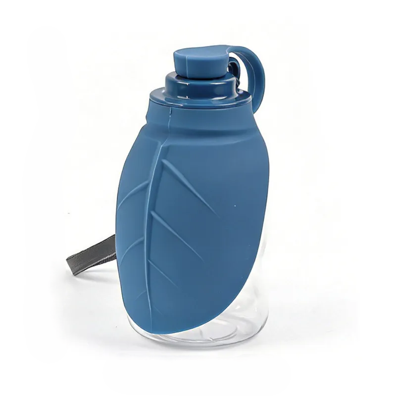 Portable pet water bottle