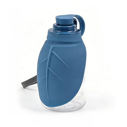 Portable pet water bottle